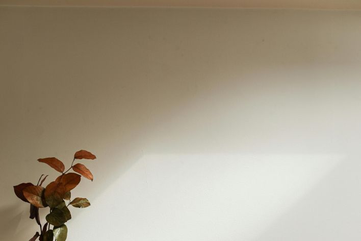 A serene minimalist interior design featuring a wooden sideboard and a ceramic vase.
