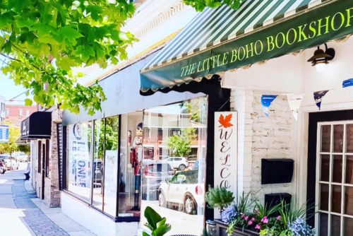 Close-up of two vibrant pink lotus flowers blooming in a lush pond.